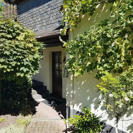 Ferienhaus In Der Hohl Cochem Ngoại thất bức ảnh